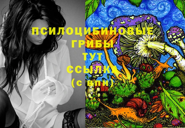 мяу мяу мука Баксан