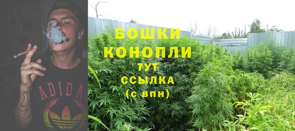 бошки Богородицк