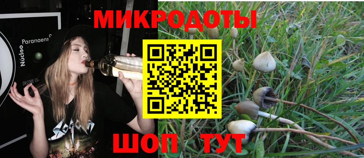 Галлюциногенные грибы Cubensis  Вход с VPN  Валуйки 