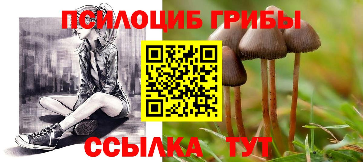 Галлюциногенные грибы Cubensis Валуйки